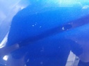 1005159561006_20200807083252.jpg