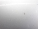 1005148851006_20200724160628.jpg