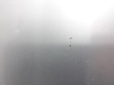 1005096441006_20200428094336.jpg