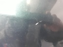 1005096311006_20200422132259.jpg