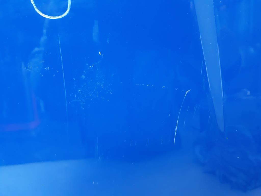 1005097271006_20200423104059.jpg