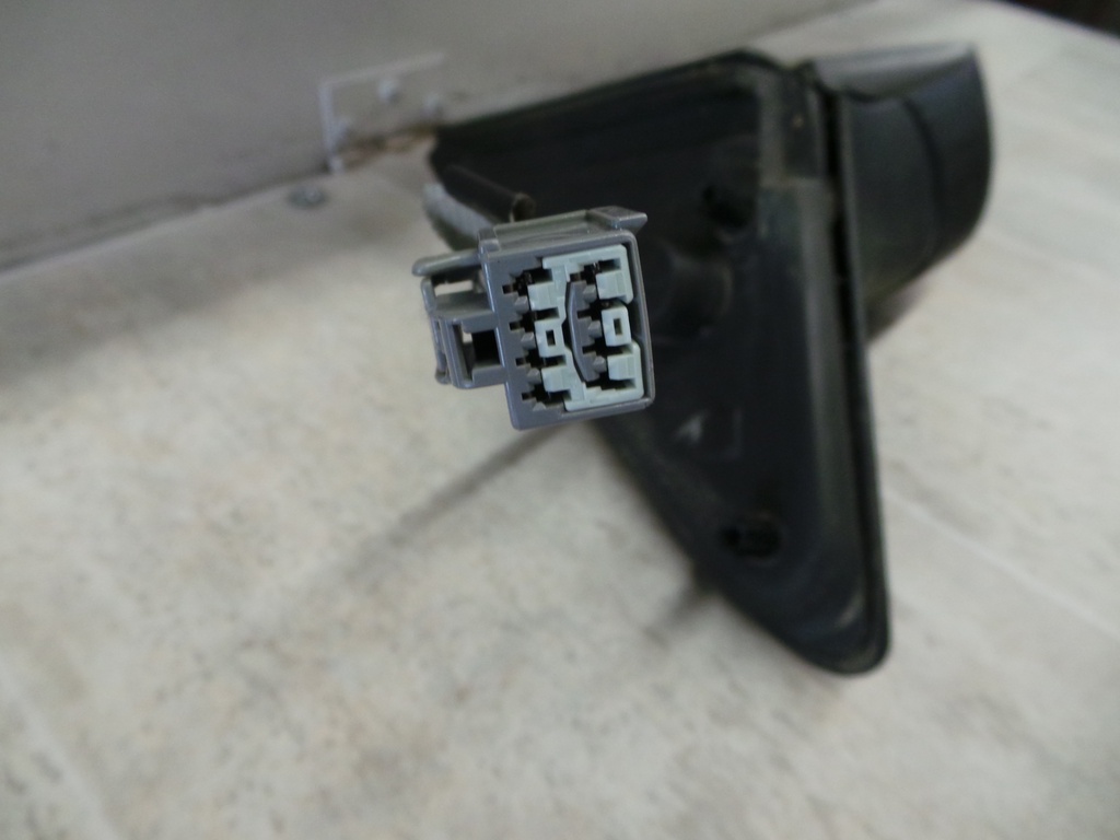20201001_100810.JPG