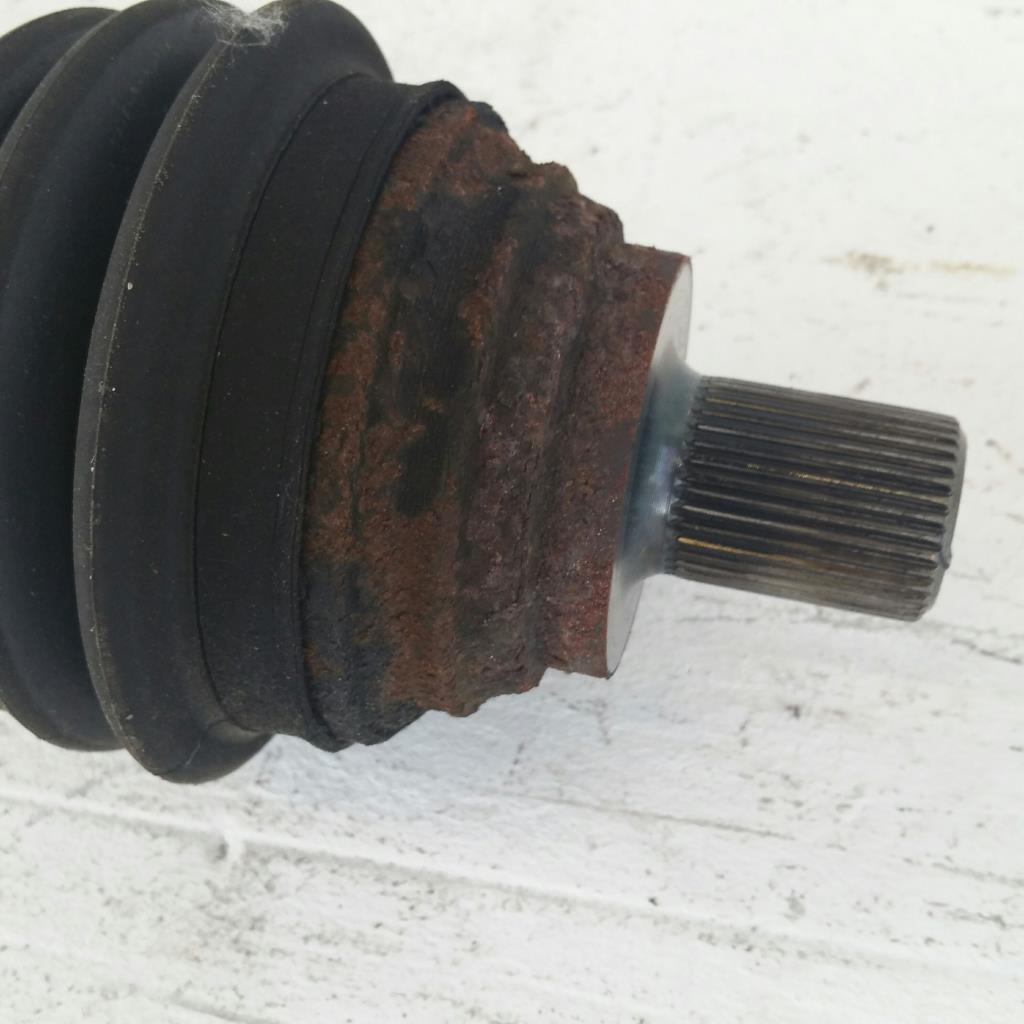 1000249782068_20180618171639.jpg