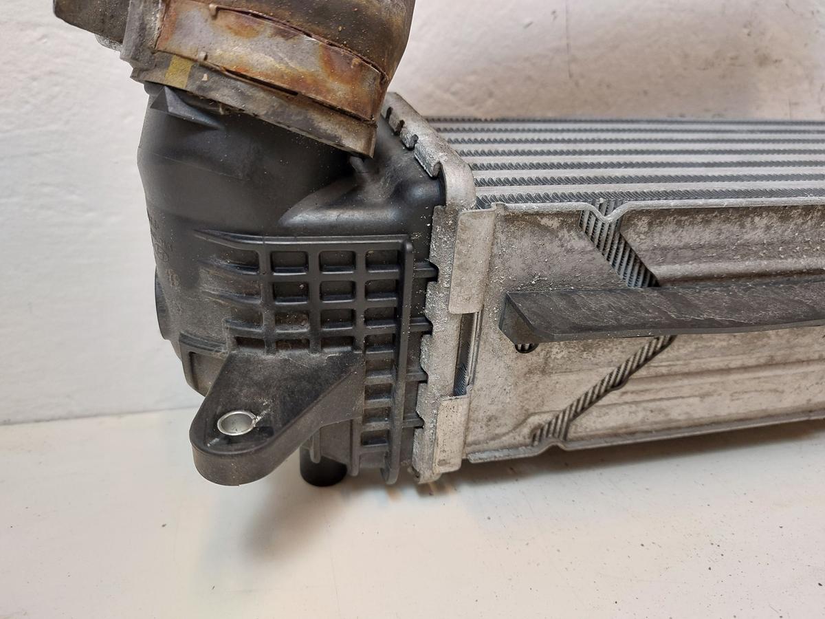 Hyundai i30 PD Mild Hybrid Ladeluftkühler Kühler Ladeluft 1.0TGDI 88kw G3LF