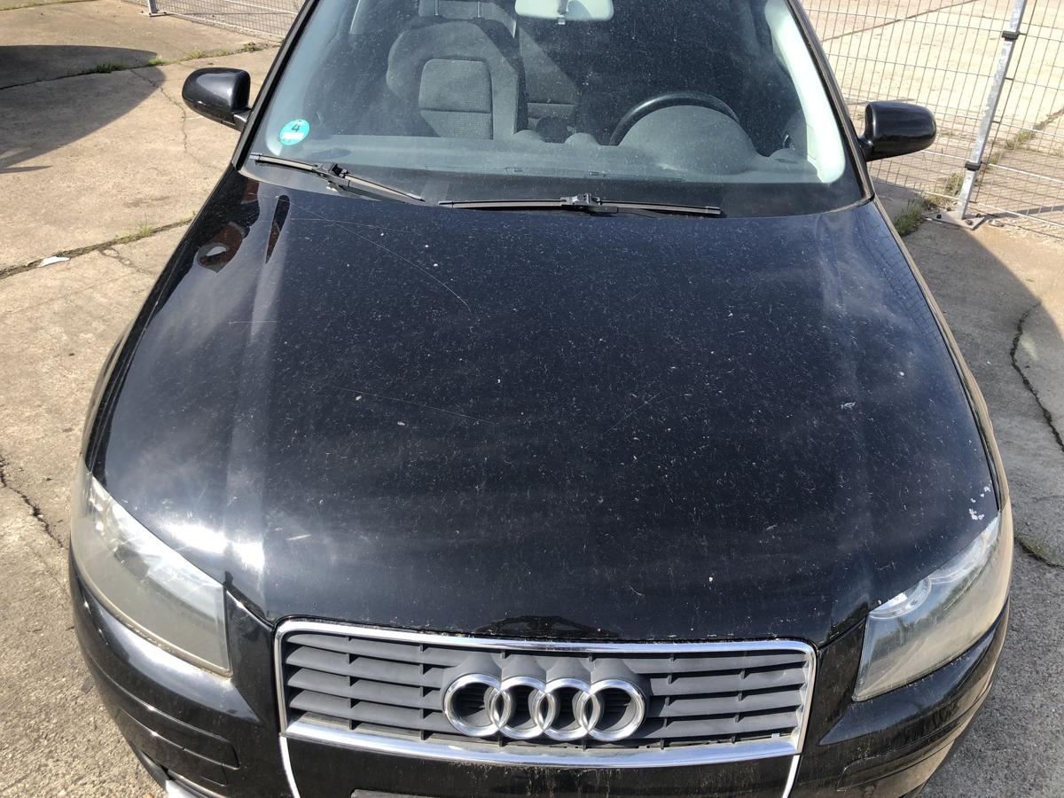 Audi A3 8P bis 2005 Motorhaube Haube Klappe Deckel vorn LZ9W Ebonyschwarz