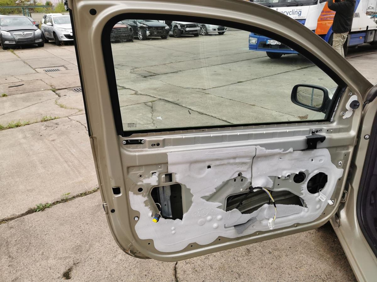Renault Clio III Fahrertür Tür Autotür Rohbau vorn links 3trg TED11 Beige Pepper