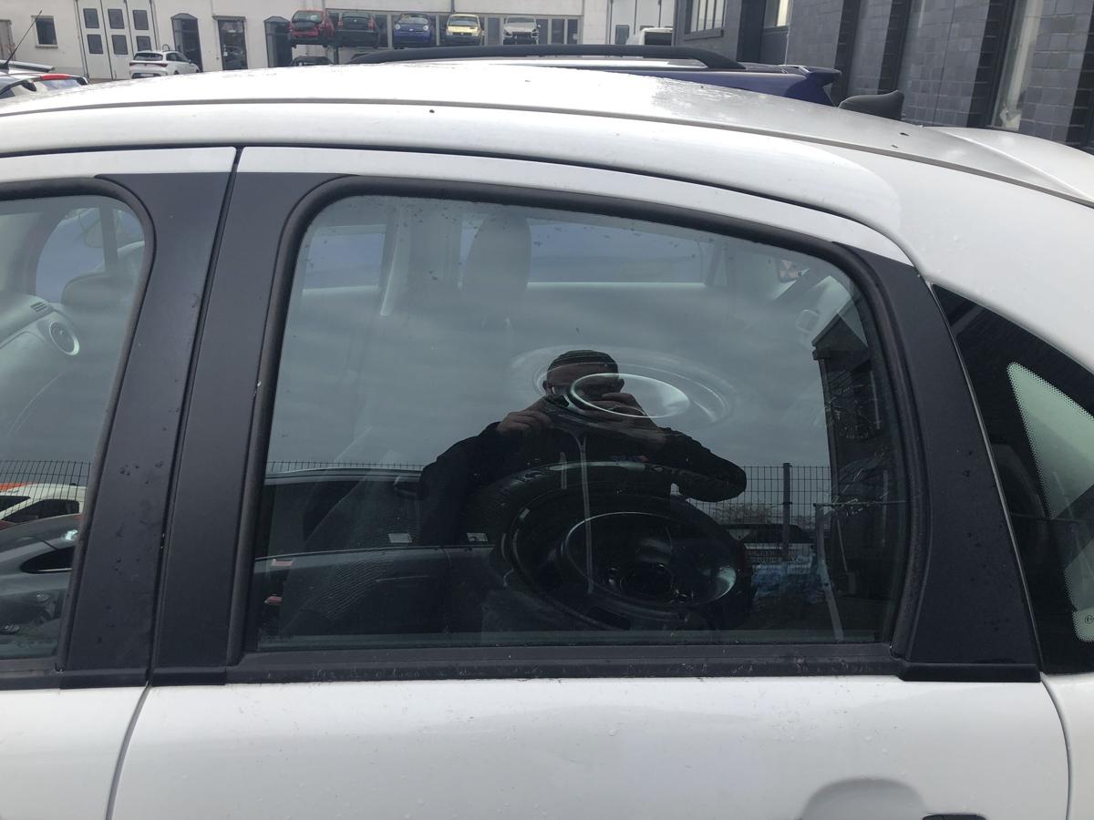 Citroen C3 Typ F T&uuml;rscheibe hinten links Fondt&uuml;r Seitenscheibe Scheibe Colorglas