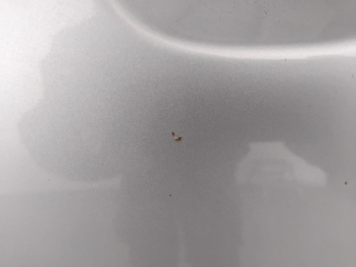 VW Passat 3C Variant T&uuml;r hinten links LB5M arcticbluesilver Kombi BJ2007