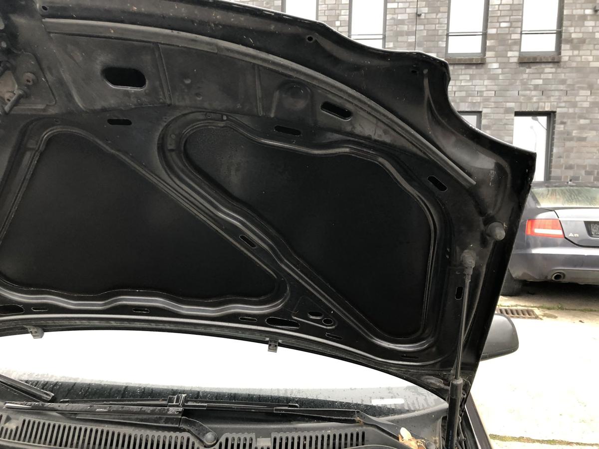 VW Polo 9N 9N1 Motorhaube Haube Klappe Deckel vorn LC9Z Black Magic Perl ROST