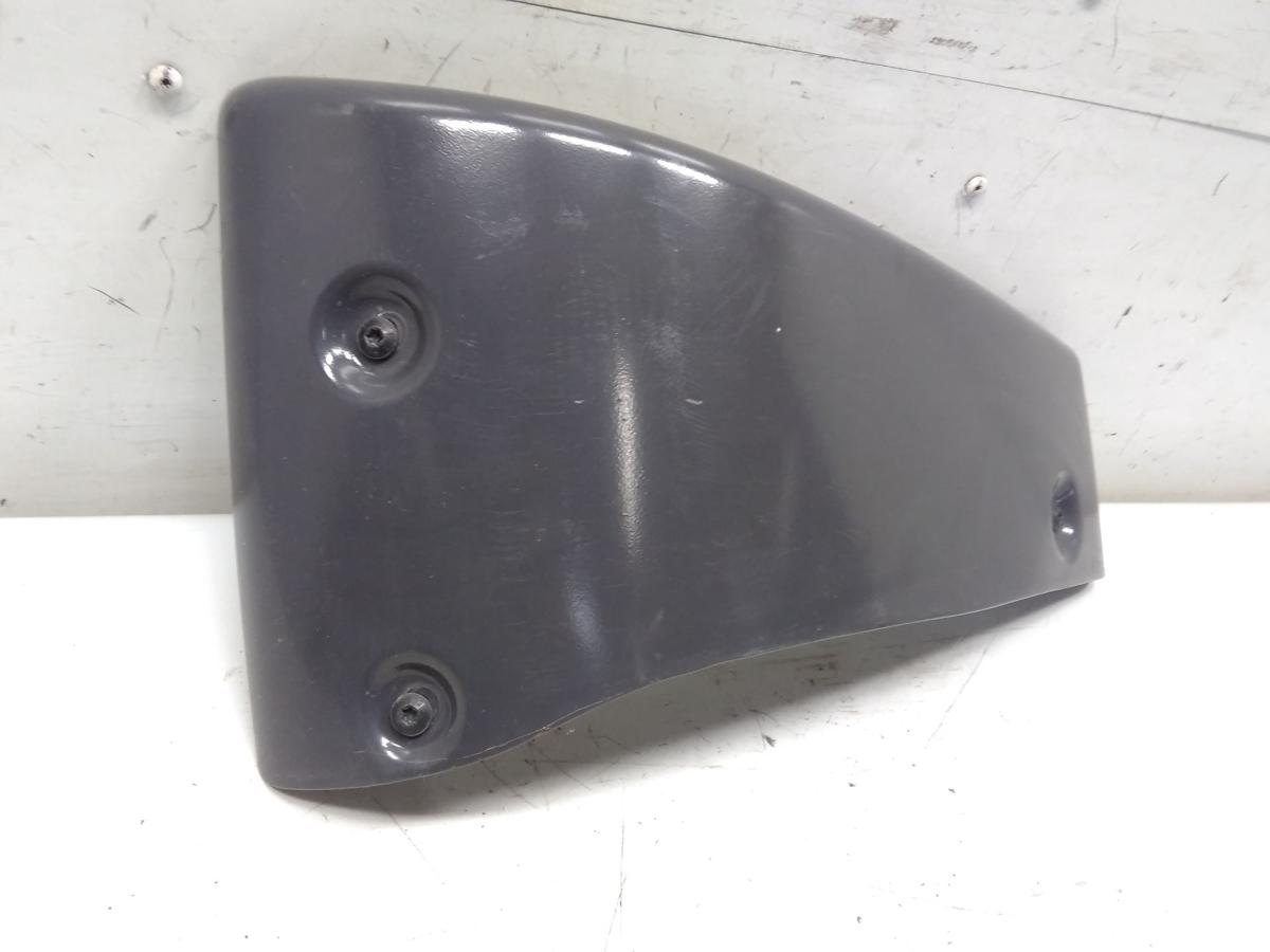 Renault E-Tech ZE original Blende Abdeckung Sto&szlig;f&auml;nger vorn unten rechts Bj.2022