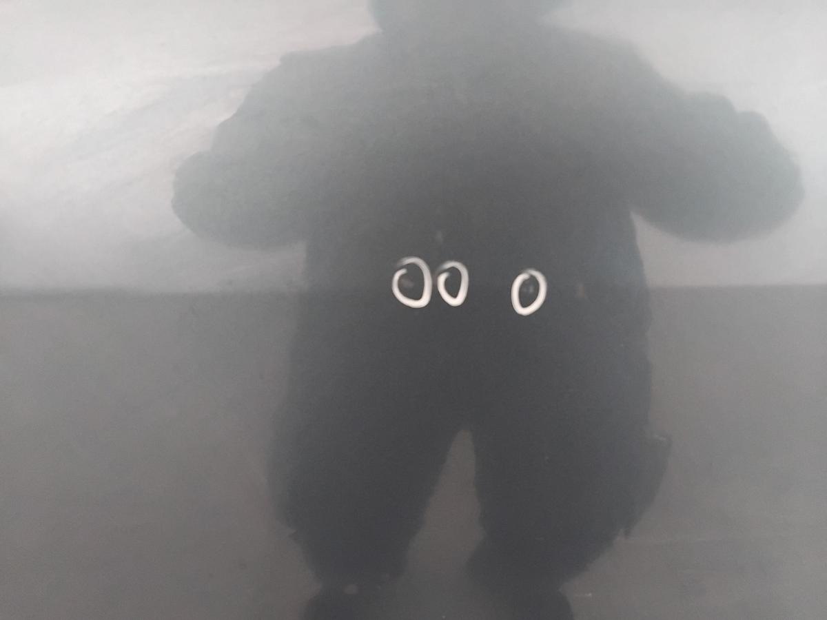 Dacia Sandero 1 Tür hinten links blaumetallic TERNF BJ2009