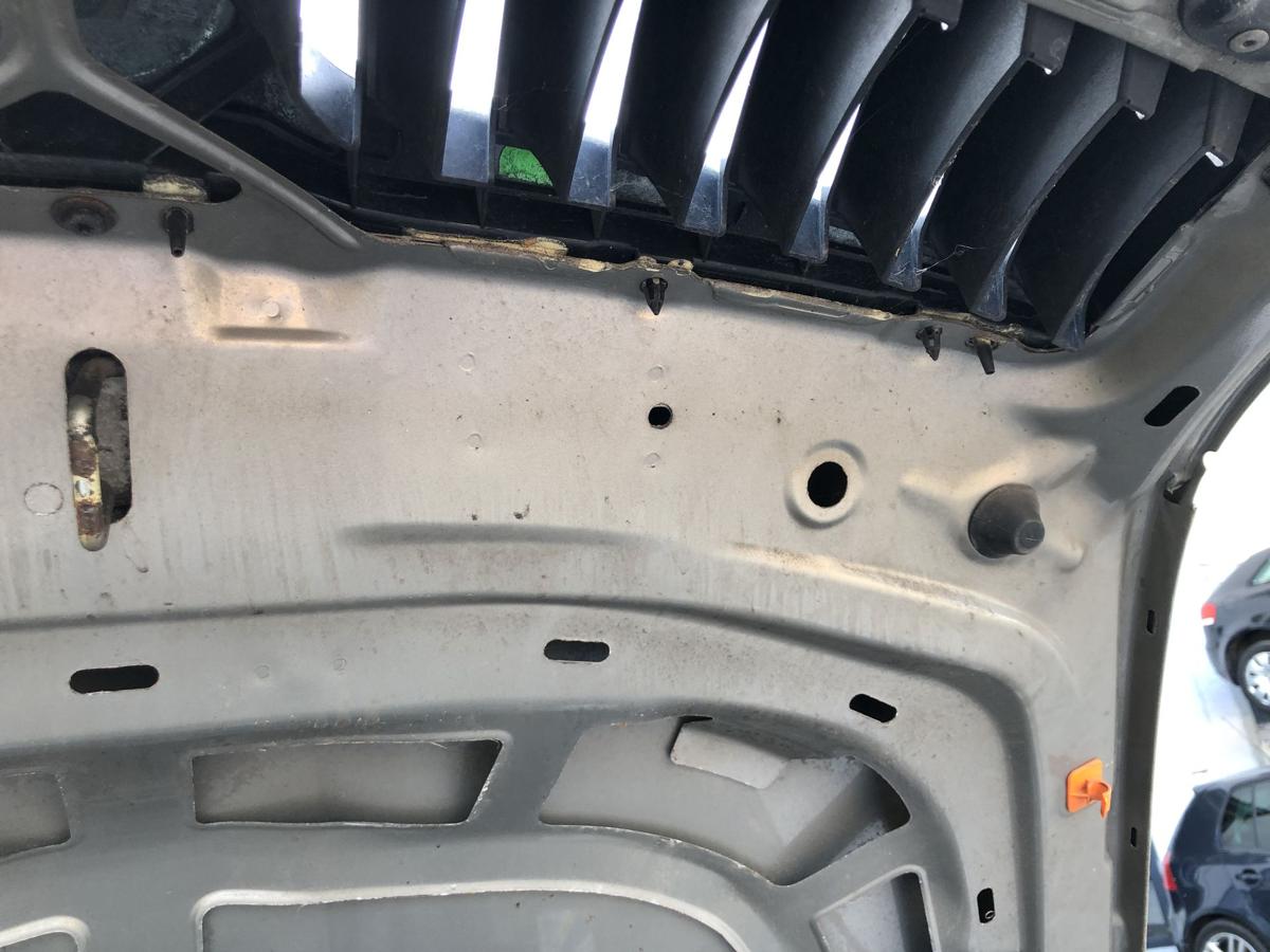 Skoda Octavia 1Z ab09 Motorhaube Haube Klappe Deckel vorn K&uuml;hlergrill LF8H