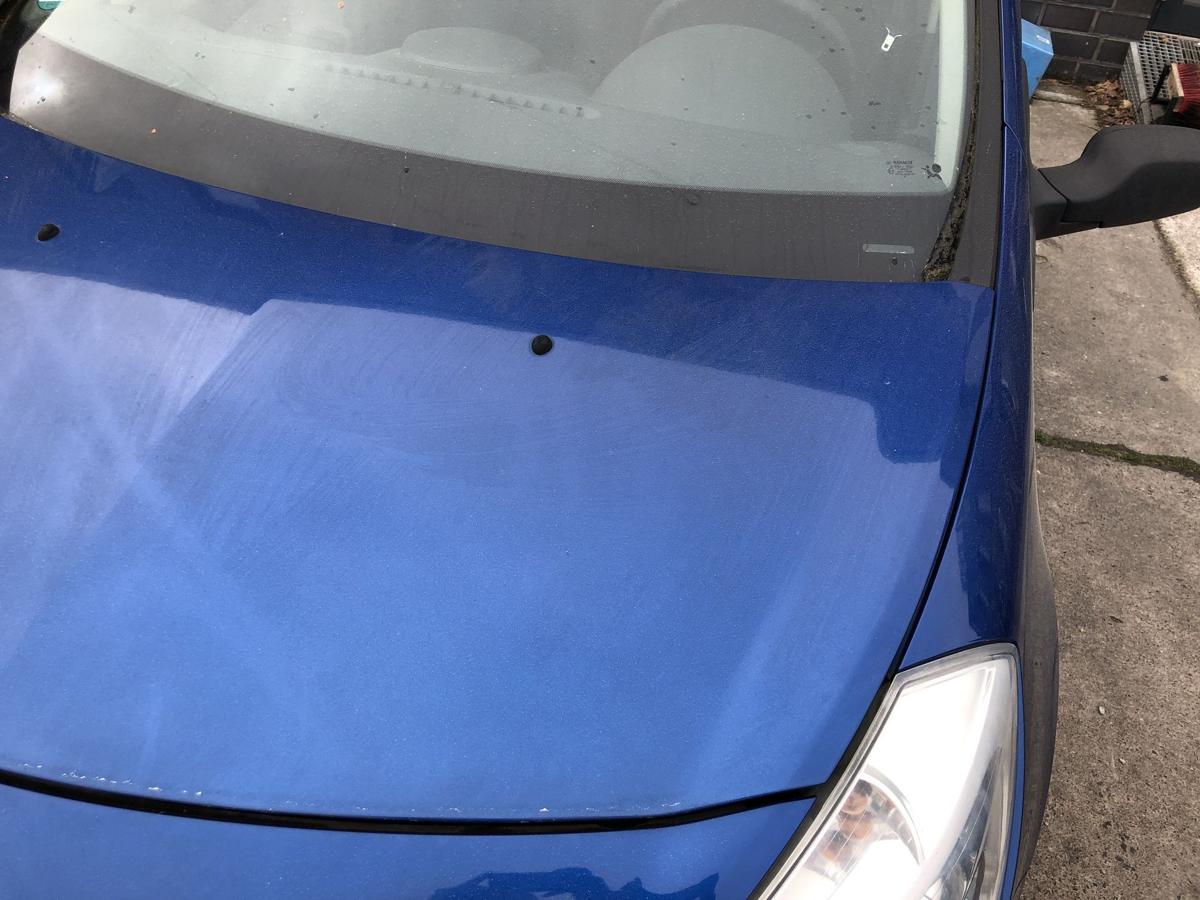 Renault Clio 3 Typ BR Motorhaube Haube Klappe Deckel vorn TERNA Blue