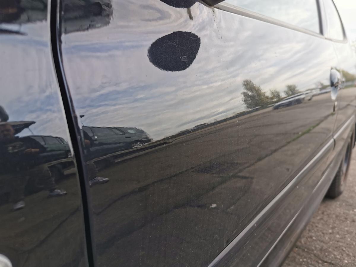 Peugeot 206+ 2M Fahrertür Tür Autotür Rohbautür vorn links KTV Perla Nera 5trg