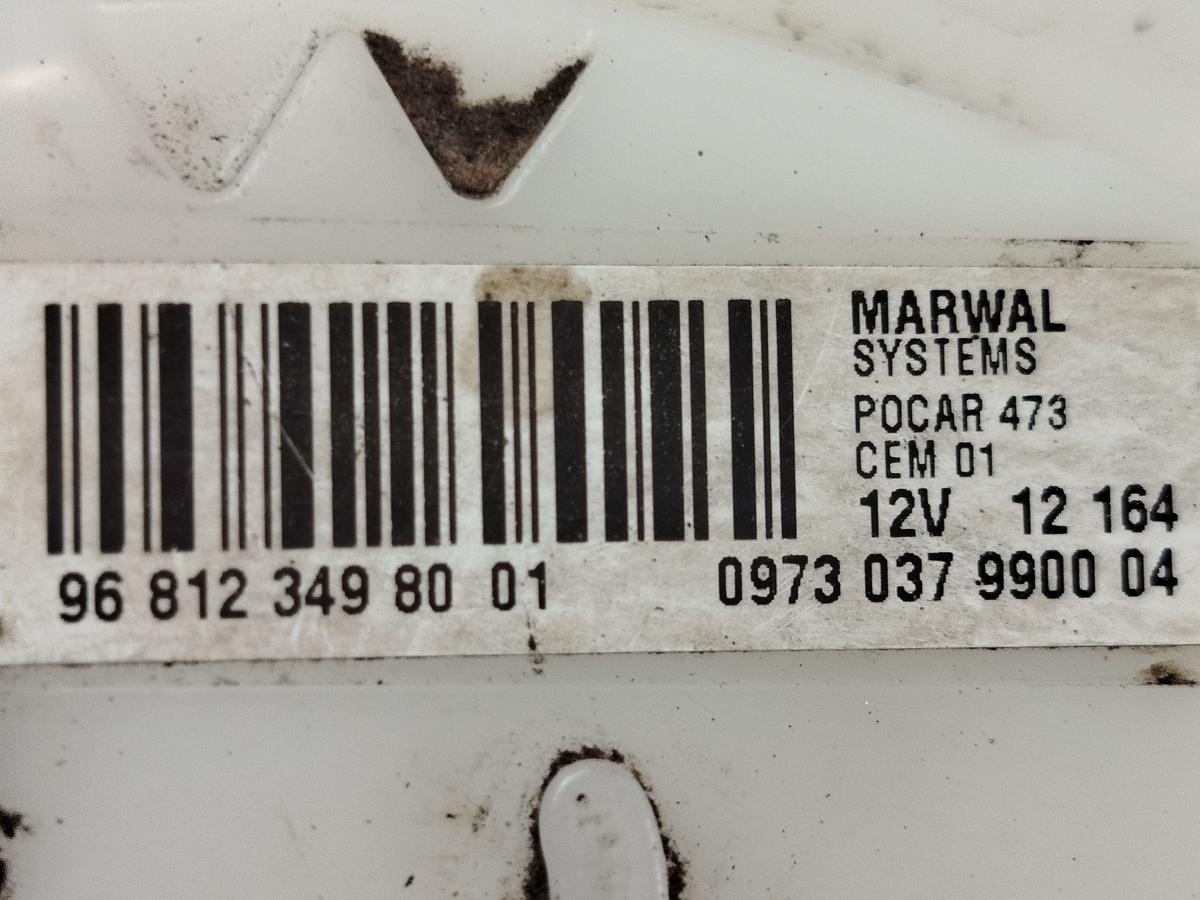 Peugeot 3008 I Typ 0U Kraftstoffpumpe Innentankpumpe Benzin 1.6 115kw Turbo OEM