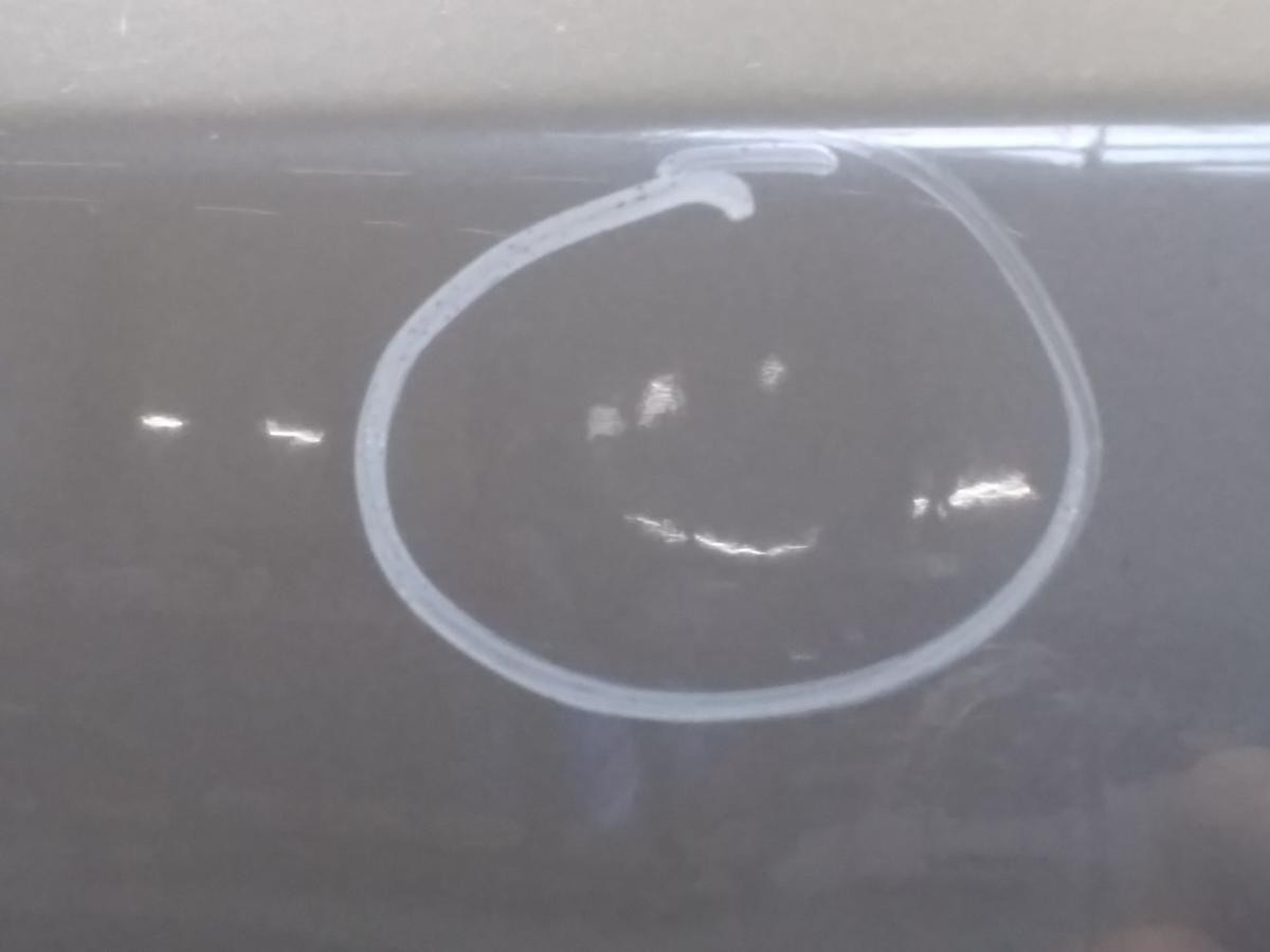 Audi A4 8E B7 Limousine orig.Sto&szlig;stange Sto&szlig;f&auml;nger hinten PDC BJ2005 LX7Z delfingraumetallic