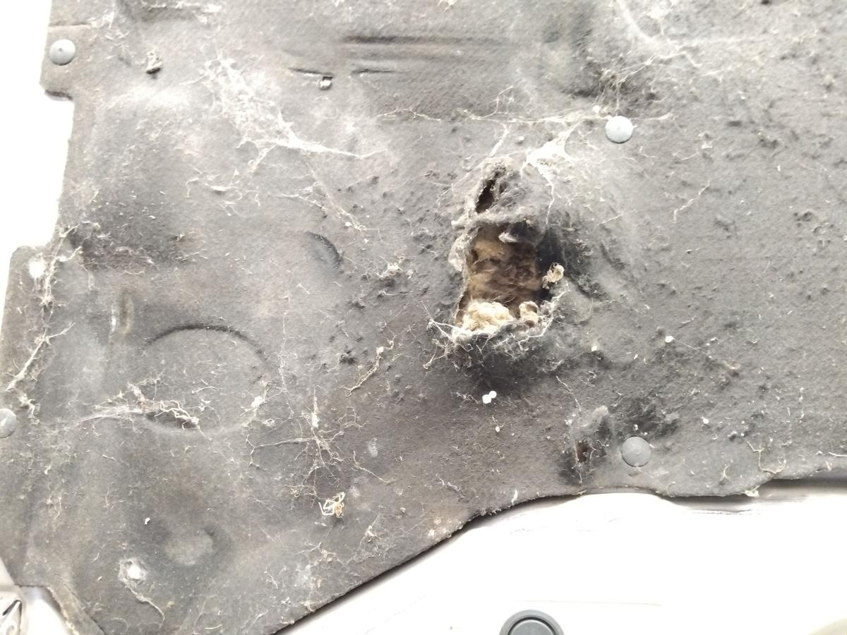 Audi 100 und 200 Typ 44 C3 original Motorhaube zermattsilber LY7Y Bj.1986