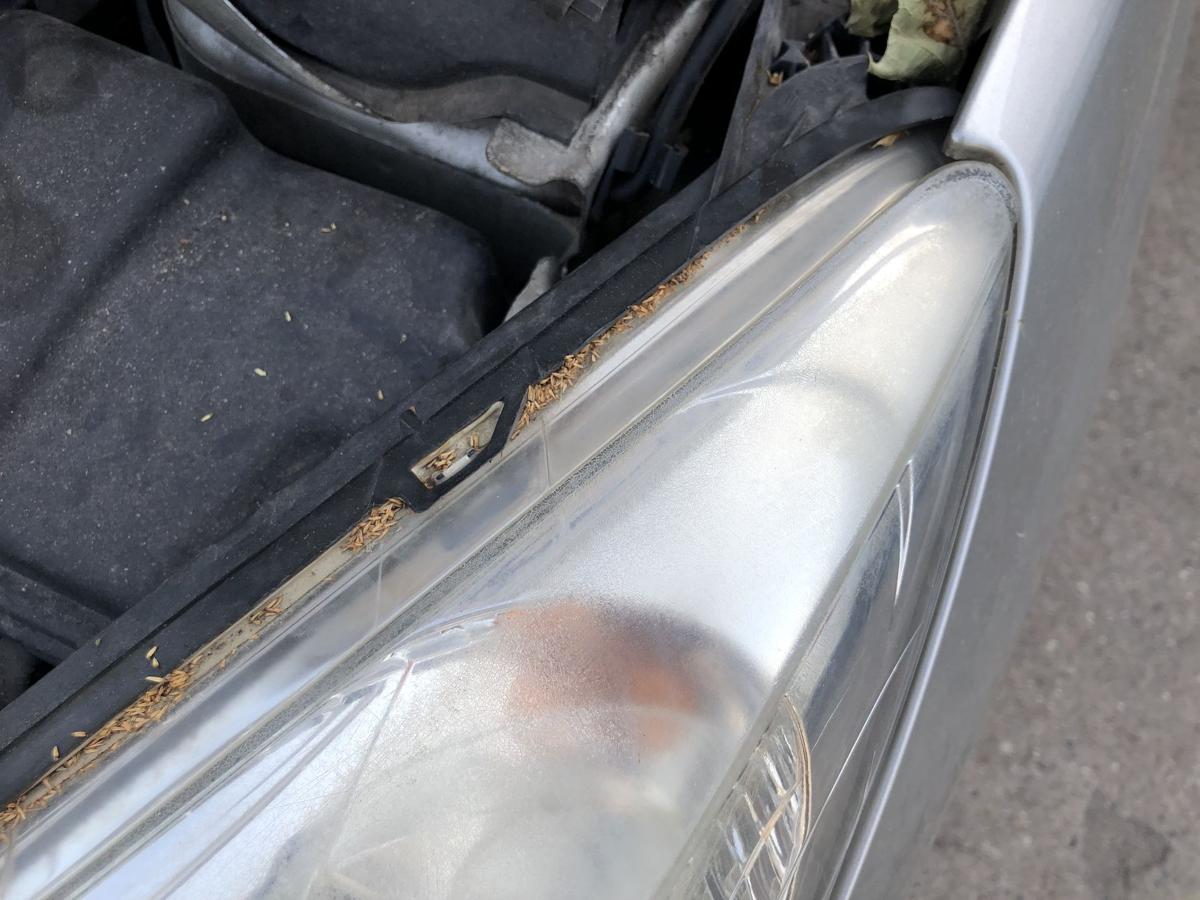 Peugeot 207 SW Typ WE Scheinwerfer vorn links Hauptscheinwerfer Halogen Tr&uuml;b