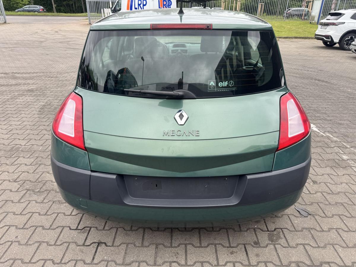 Renault Megane 2 original Motorhaube D96 Vert Giverny Metallic Bj.2004