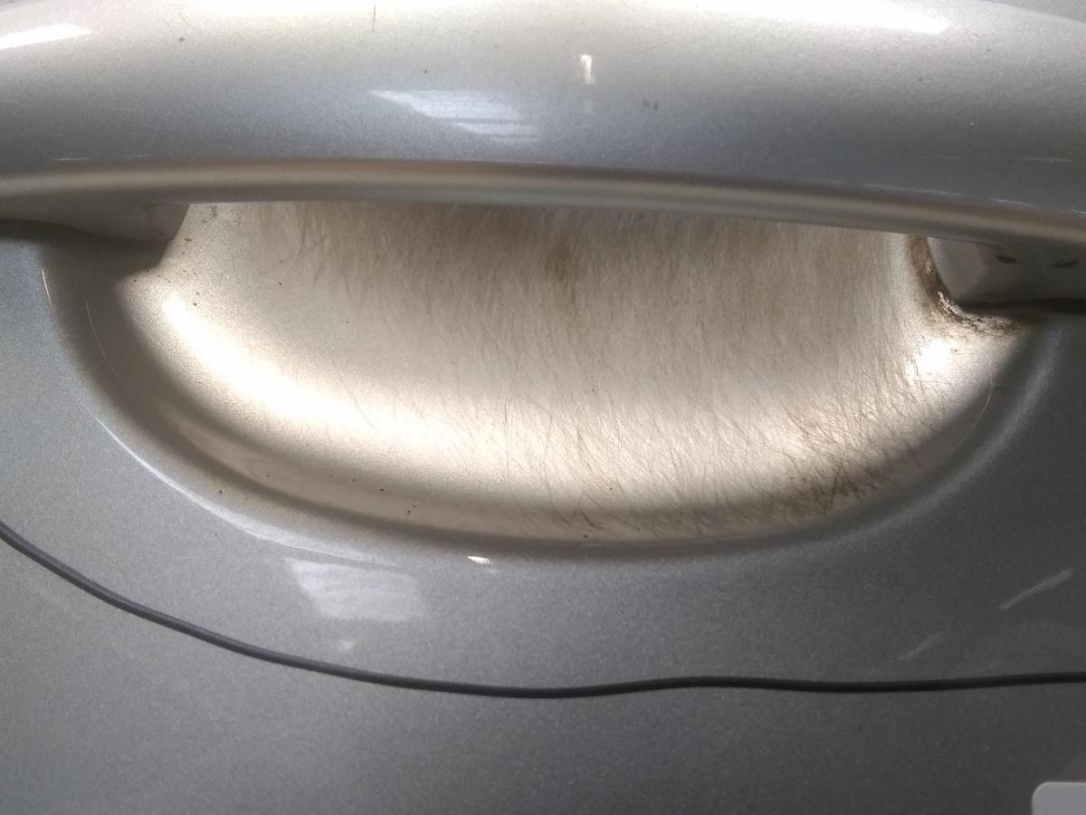 Skoda Roomster 5J Tür vorn links Fahrertür brillantsilber Bj.2009