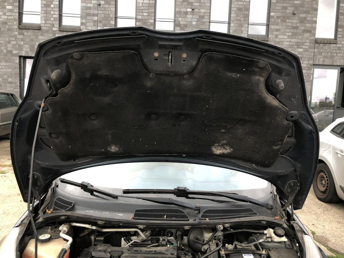 Ford Fiesta JA8 Motorhaube Haube Klappe Deckel vorn Blazer Blau