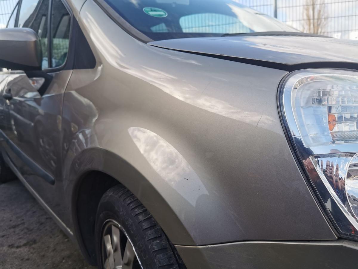 Renault Modus Kotfl&uuml;gel Fender Seitenwand vorn rechts TEHNK Atacama Beige met