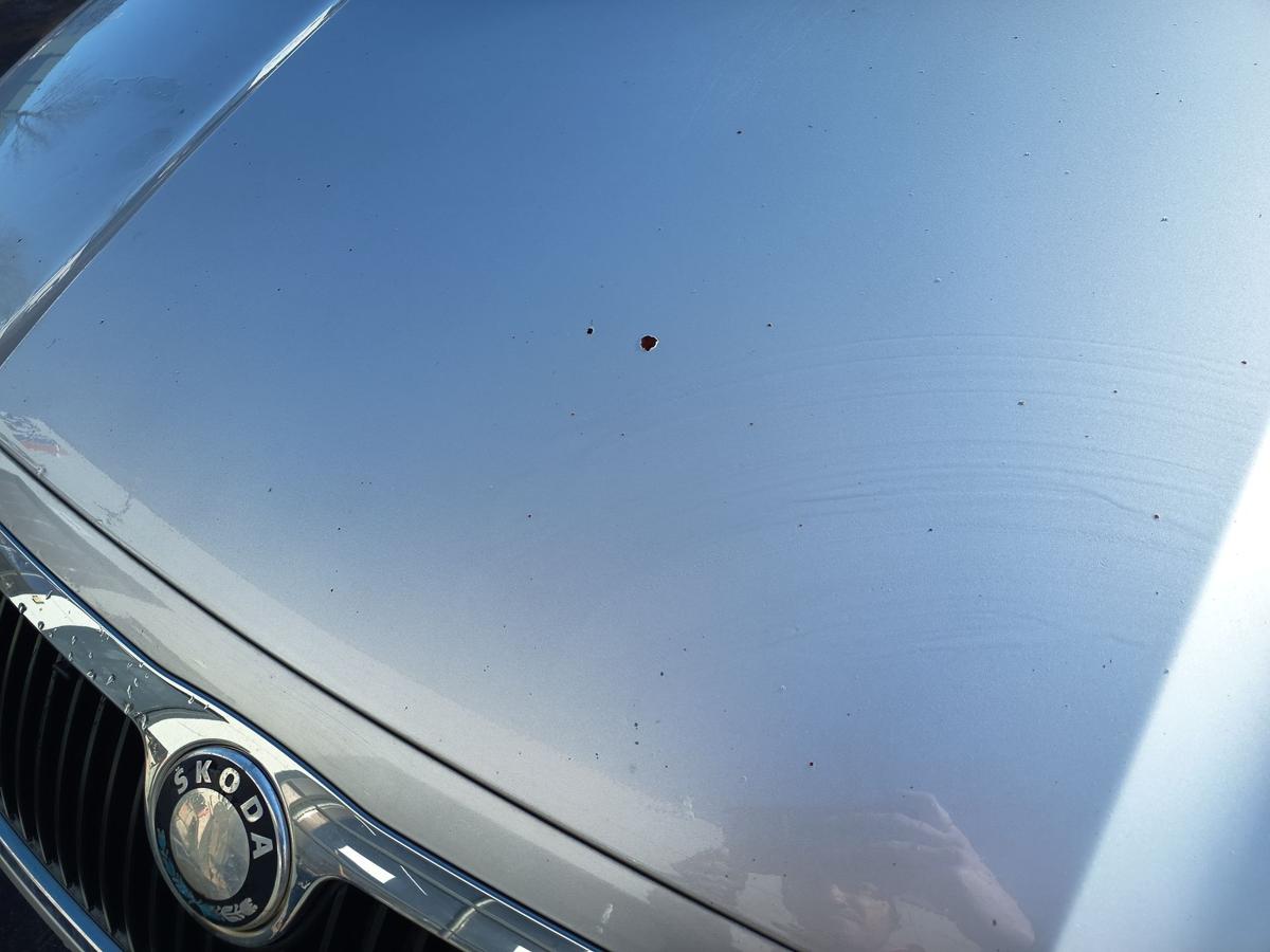 Skoda Fabia 6Y orig Motorhaube Klappe Deckel vorn Front F7T Diamantsilber Bj2002