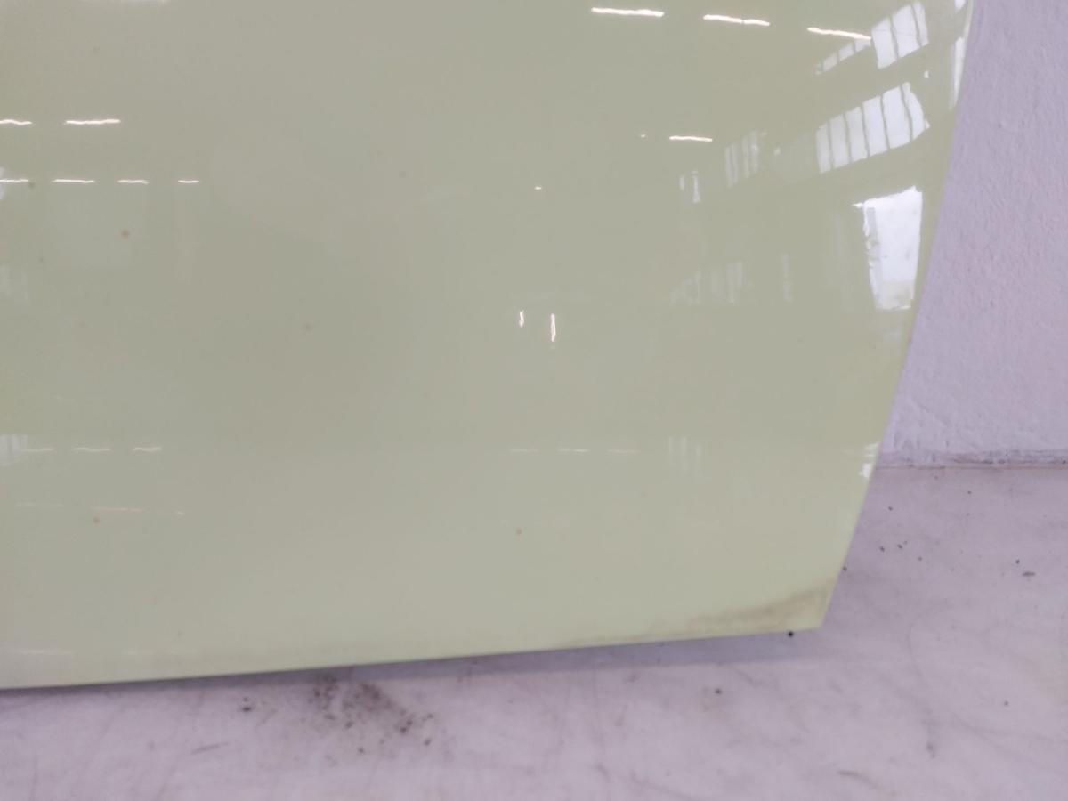 Smart 450 nur Cabrio Türpaneel rechts Beplankung Tür Beifahrer CBS Stream Green