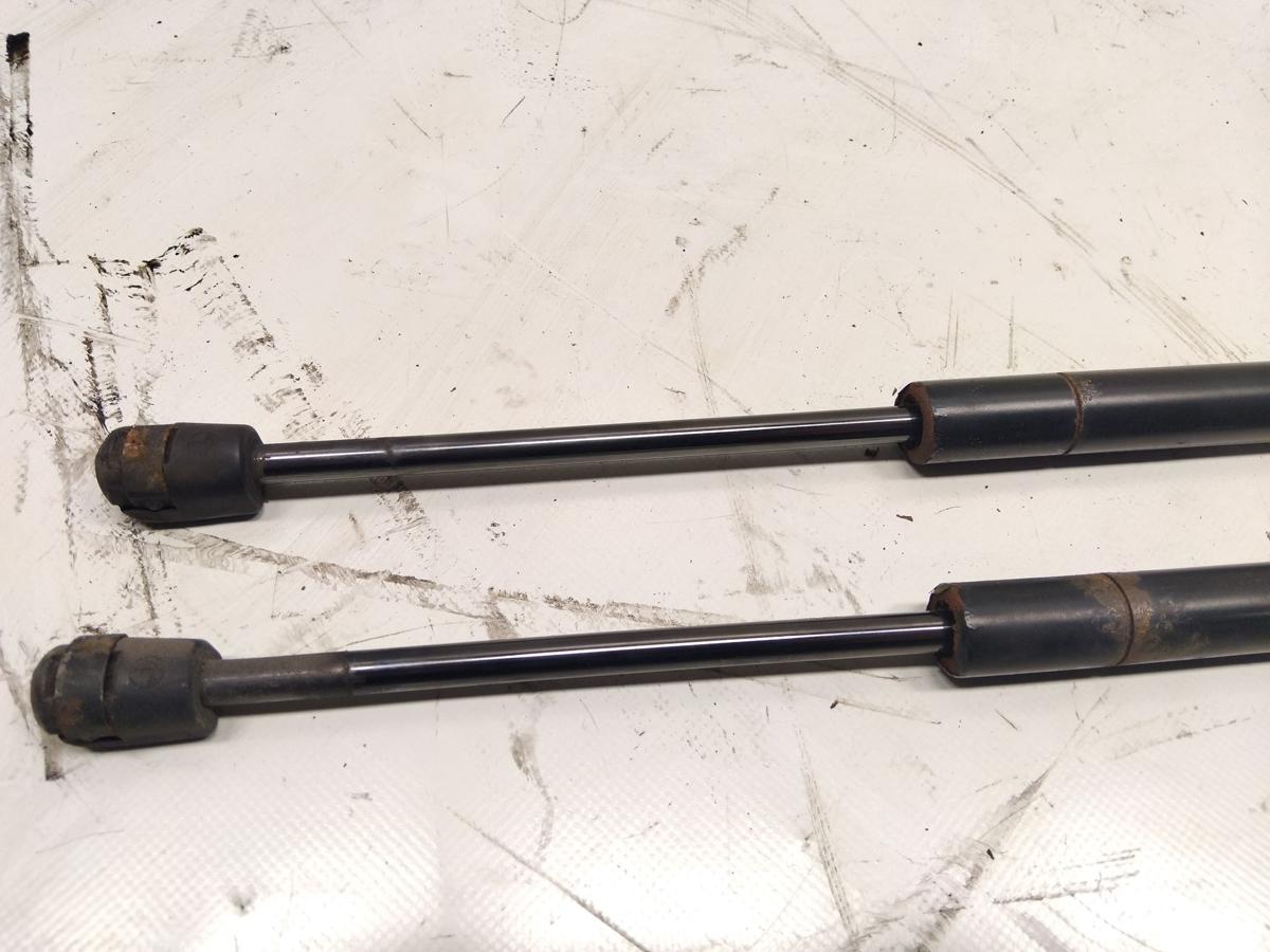 Tesla Model S original Satz Gasdruckd&auml;mpfer Motorhaube BJ2014