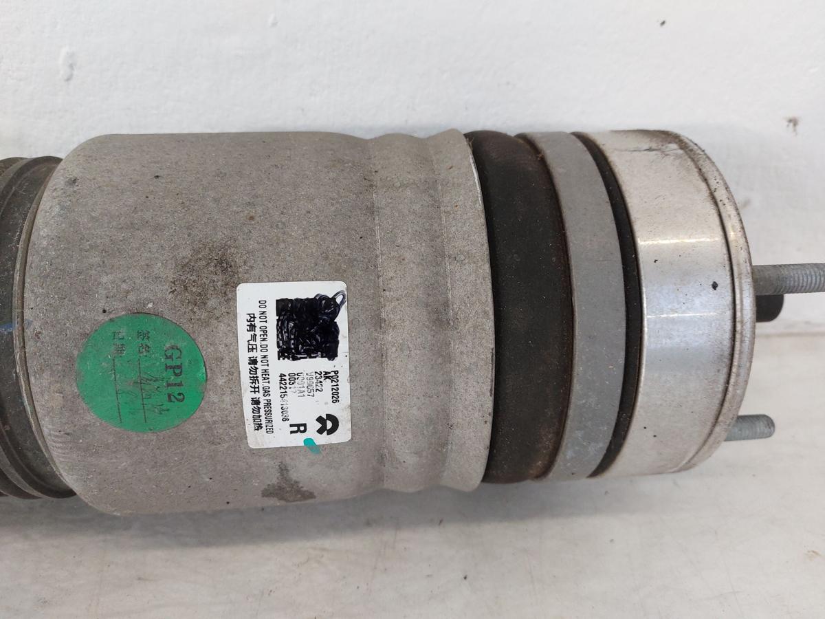 NIO ET7 Elektro Luftfederbein vorn rechts Federbein Luftfederung Luftbalg