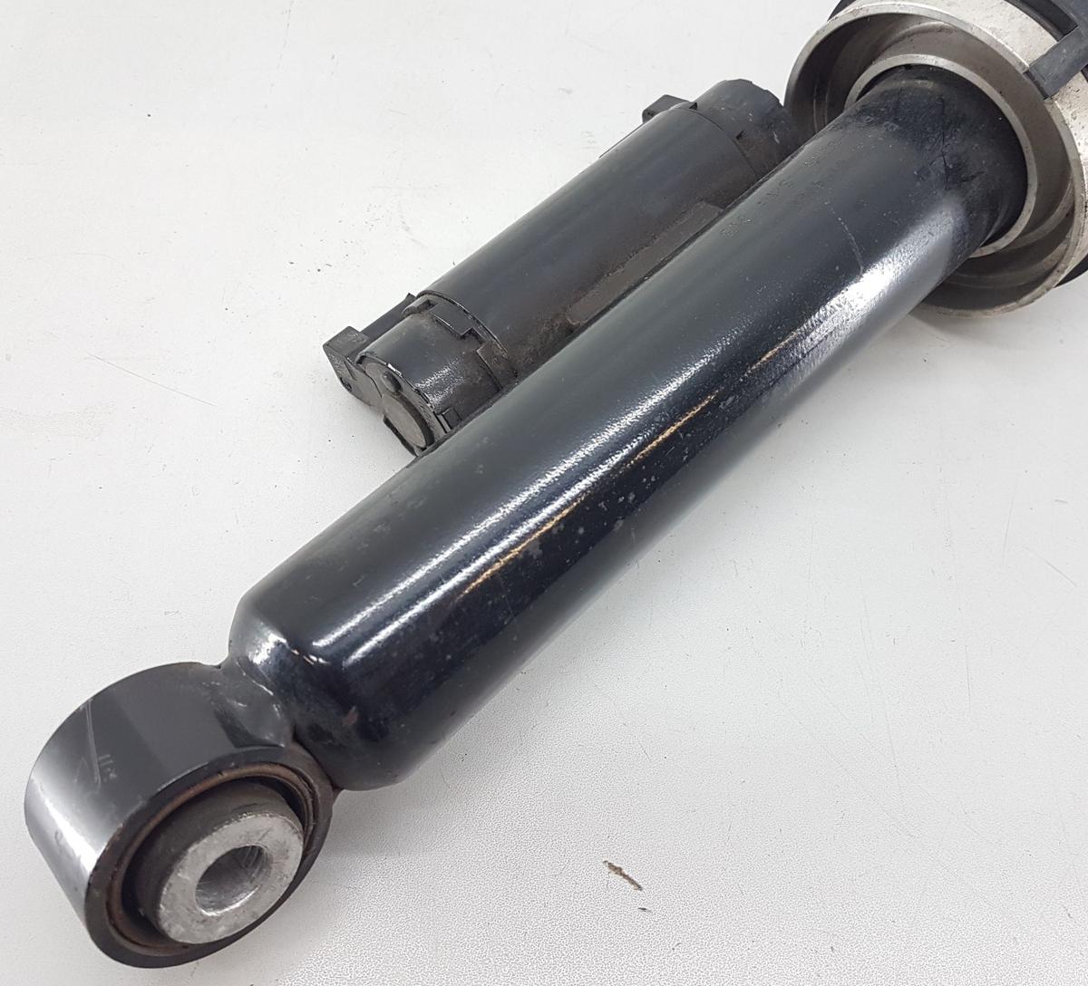 Tesla Model X Luftfederbein hinten links Bj2022 1620461-99-D Modell ab Bj2021