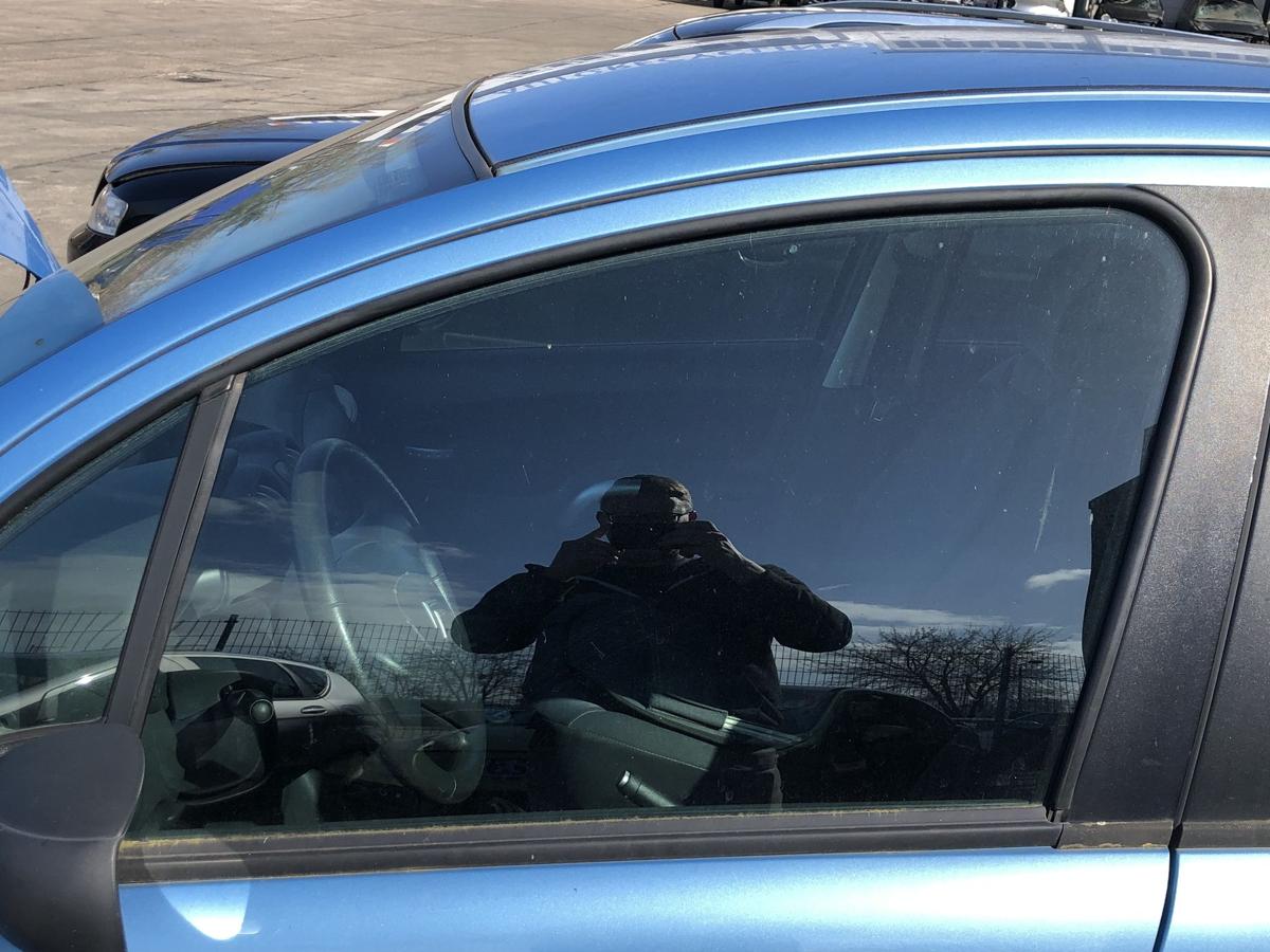 Citroen C3 Typ F T&uuml;rscheibe vorne links Seitenscheibe Colorglas