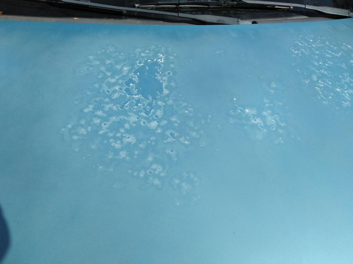 Opel Corsa C original Motorhaube breezeblaumetallic Z20N Bj.2000