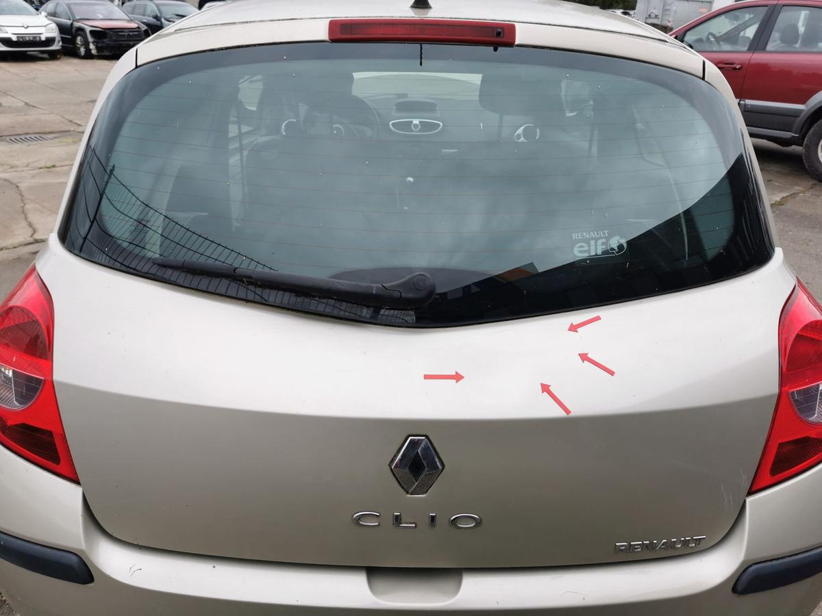 Renault Clio III Heckklappe Klappe Deckel hinten 3trg TED11 BeigePepper DELLEN