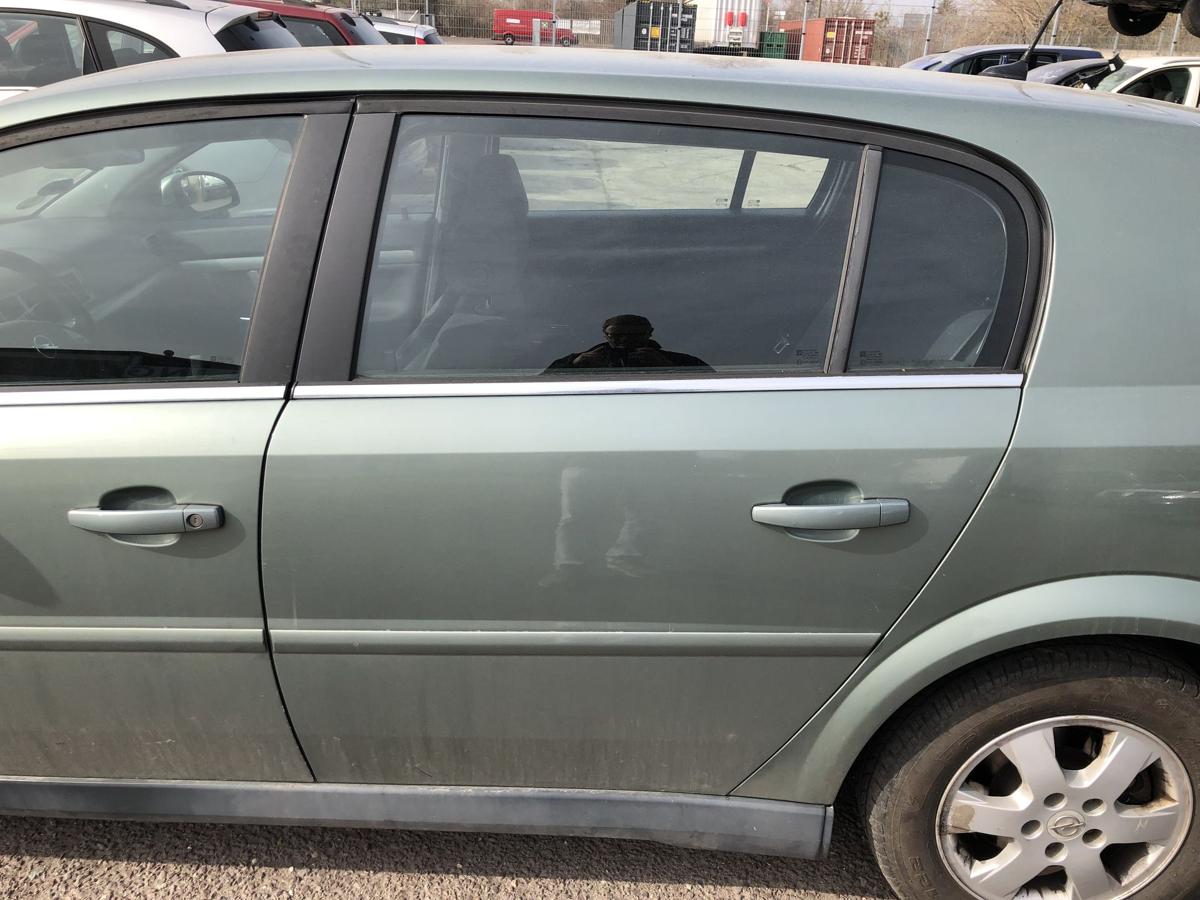 Opel Signum F48 T&uuml;r hinten links Fondt&uuml;r im Rohbau 3LU Bambusgr&uuml;n Met