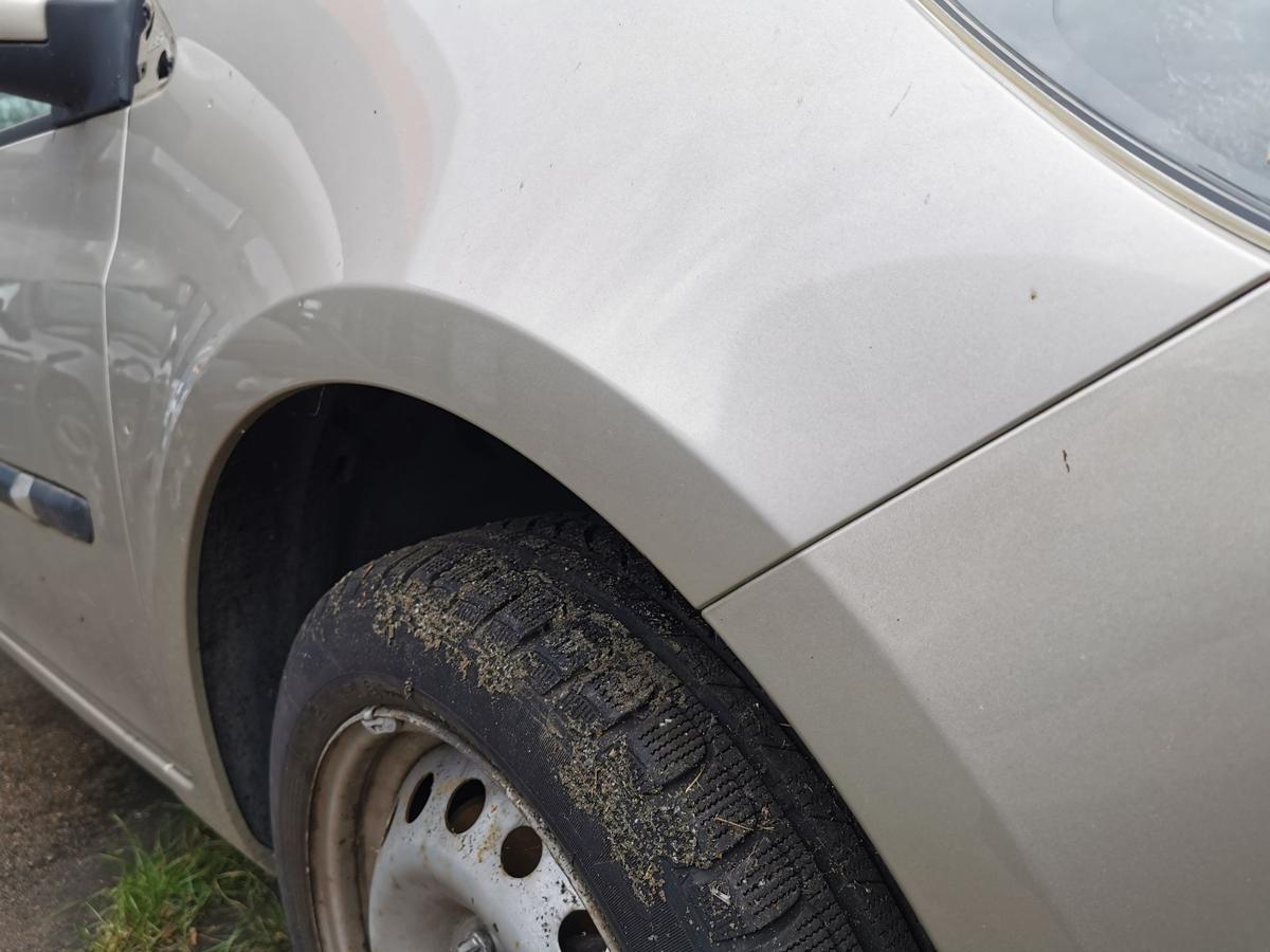 Renault Clio III BR Kotflügel Fender Seitenwand vorn rechts TED11BeigePepper 185