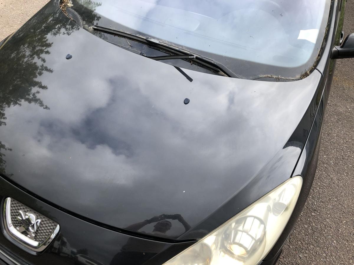 Peugeot 307 SW 3E 3H Motorhaube Haube Klappe Deckel EXL Noir Obsidien Nacre