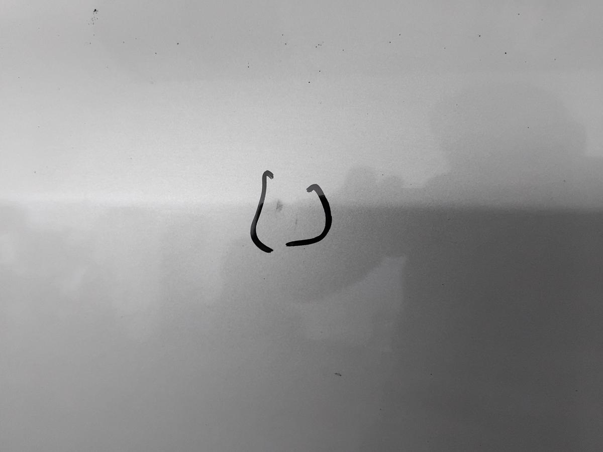 Renault Clio 3 Tür vorn links Fahrertür 5-türig TED11 Beige Poivre BJ2005