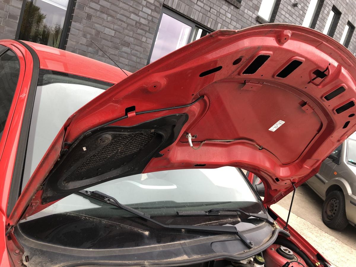 Peugeot 206+ Motorhaube Haube Klappe Deckel vorn KKN Rouge Aden