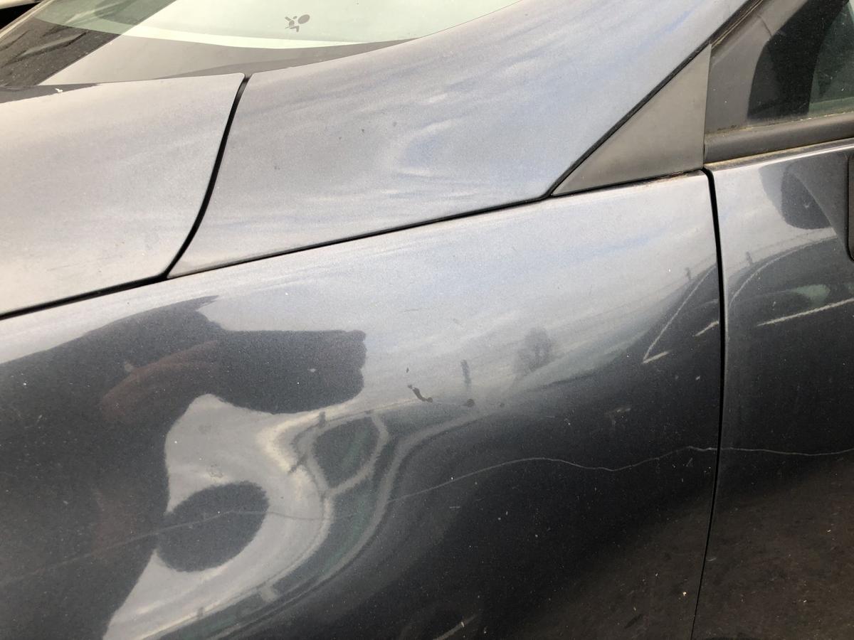 Renault Grand Scenic 3 III JZ Kotfl&uuml;gel links Fender Plastik TEB66