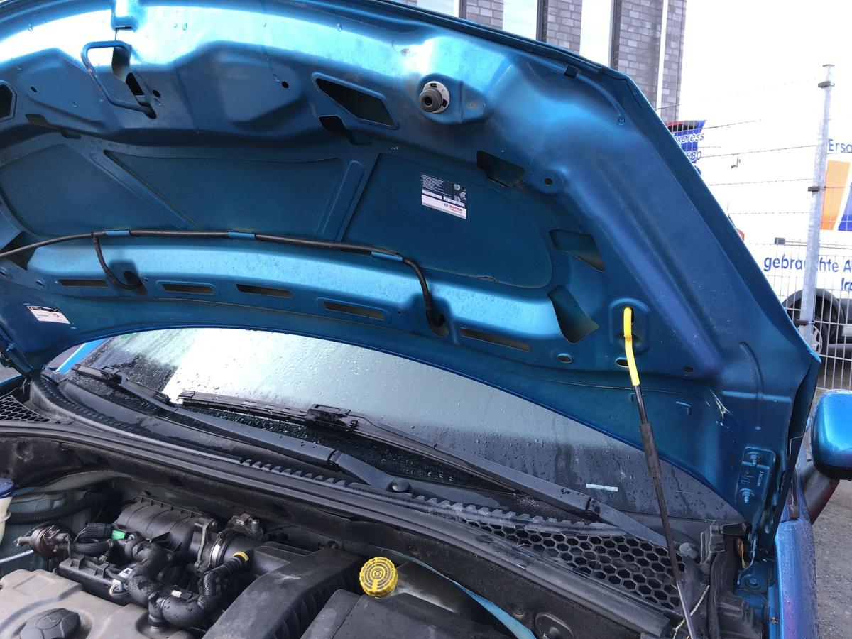 Citroen C3 S Motorhaube Haube Klappe Deckel vorn KGW belle ile