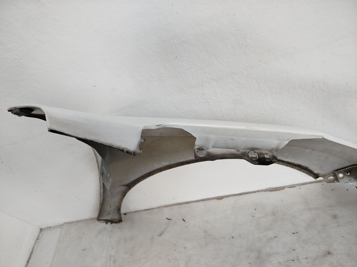 Peugeot 207 W Kotflügel Fender Seitenwand vorn links EWP WEISS BANQUISE