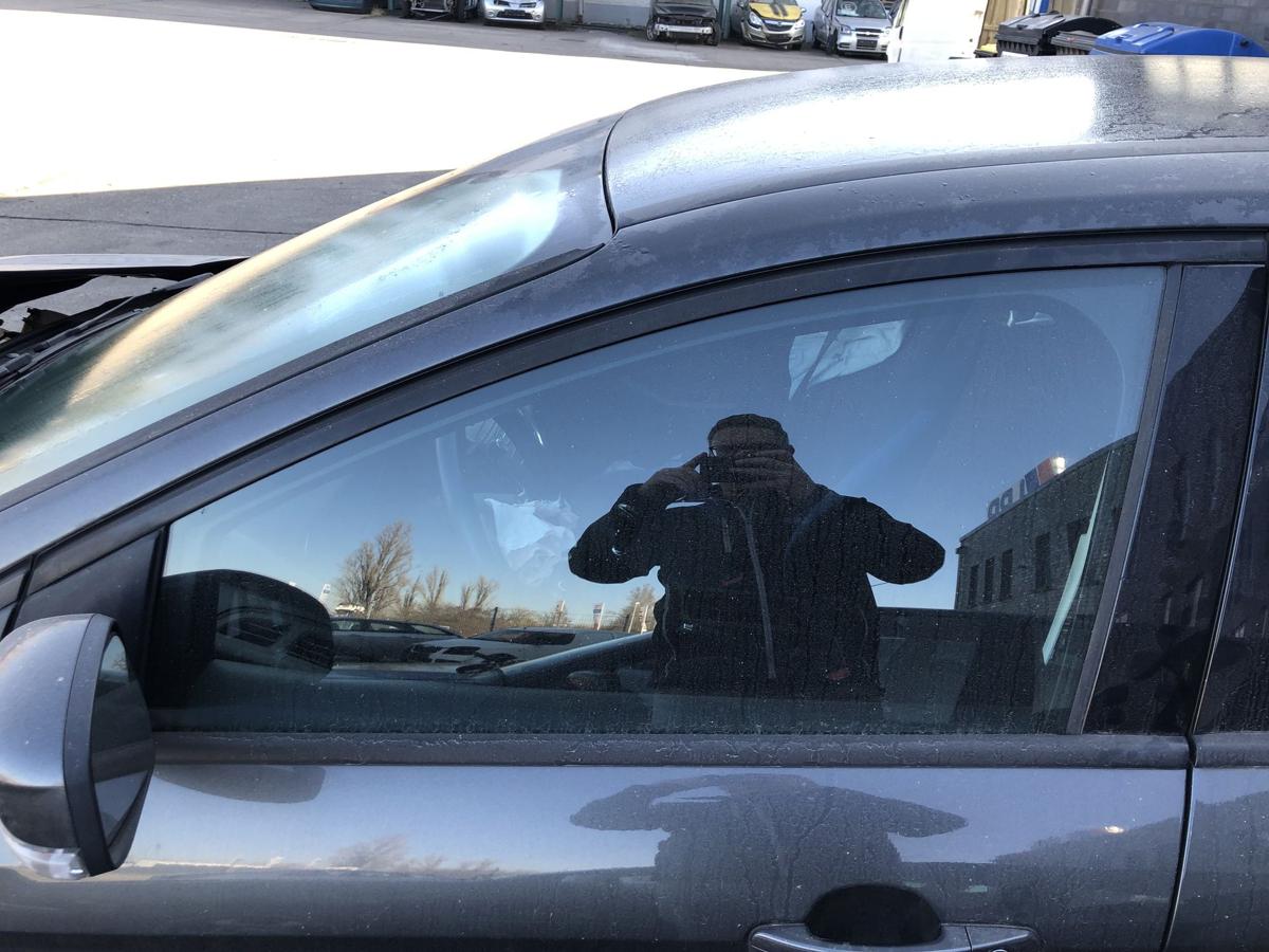 Ford Focus DYB CEW Turnier T&uuml;rscheibe vorne links Seitenscheibe Colorglas