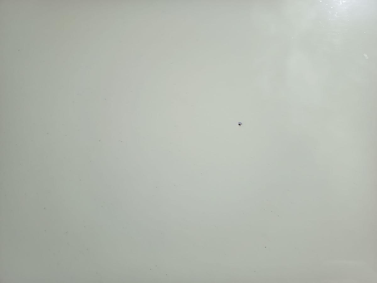 Opel Corsa D orig Motorhaube Klappe Deckel vorn Front Z30R Guacamolewei&szlig; Bj 2012