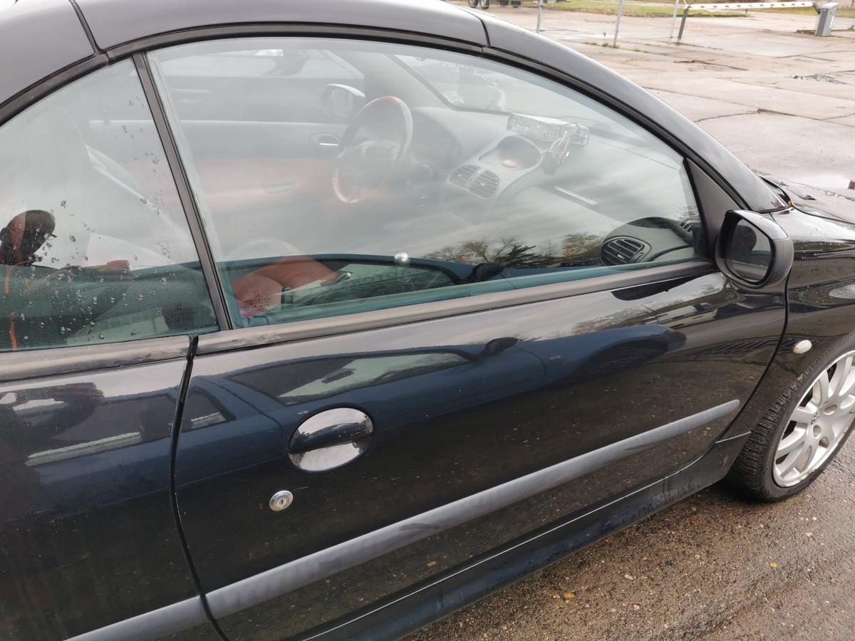 Peugeot 206 CC Beifahrertür Tür Autotür vorn rechts Rohbautür EXY Onyxschwarz