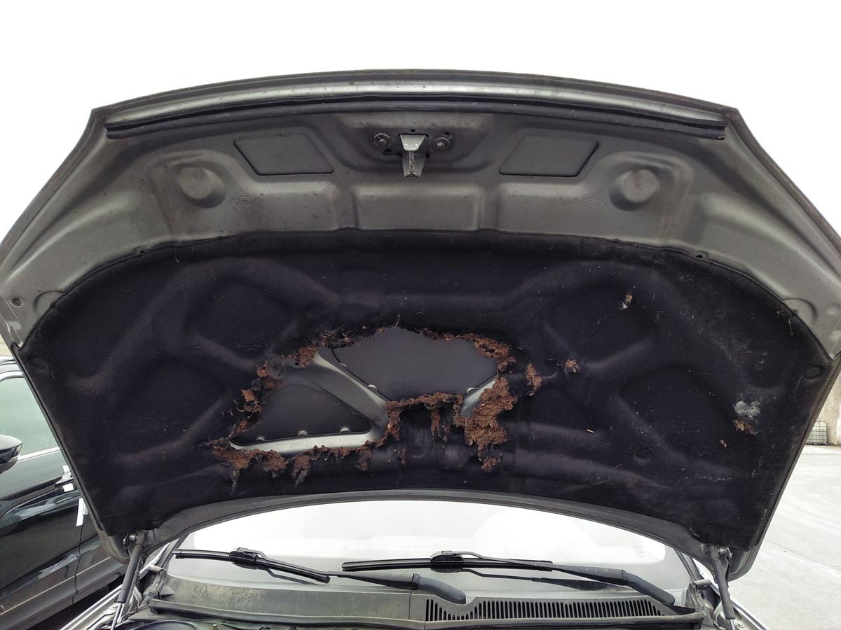 Ford Mondeo 3 original Motorhaube cosmicsilbermetallic Bj.2005