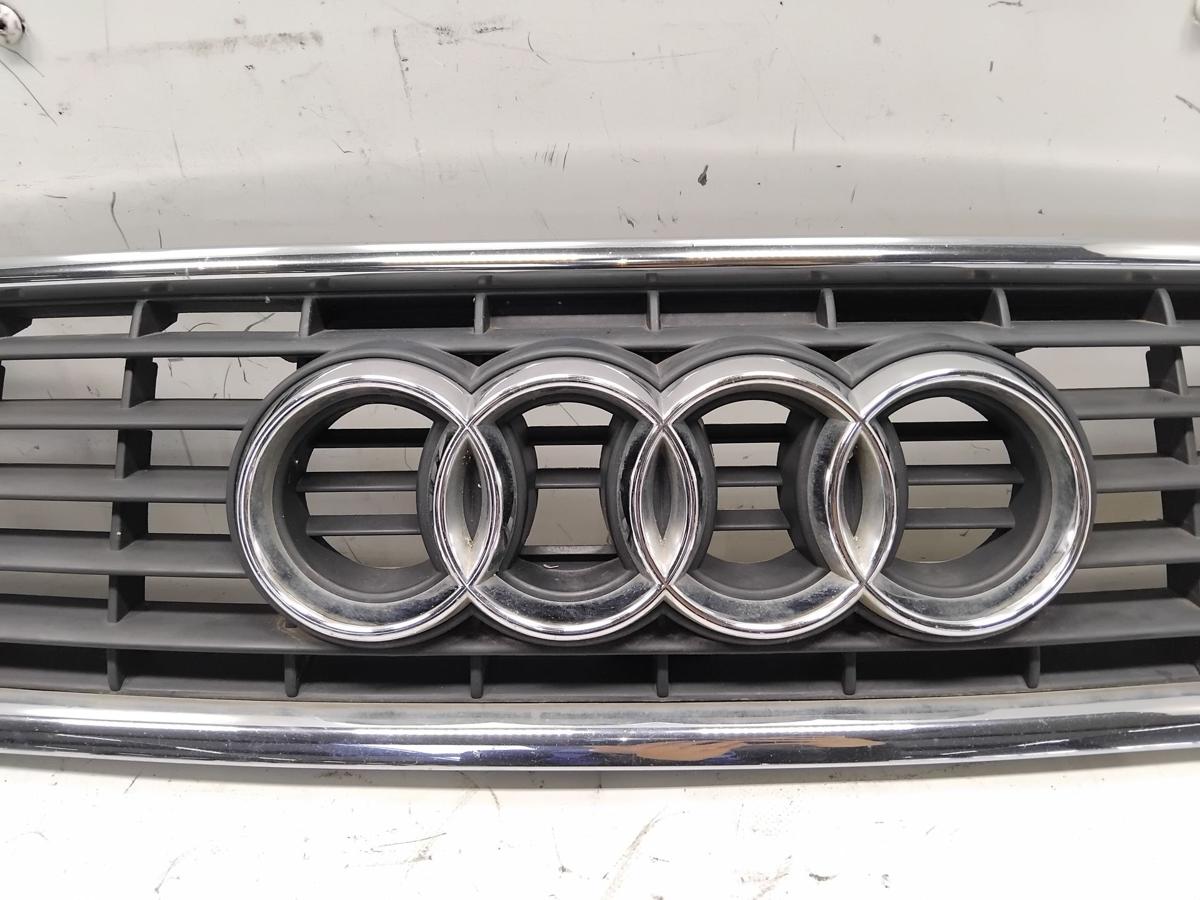 Audi A4 8E B6 original K&uuml;hlergrill 8E0853651F BJ2003