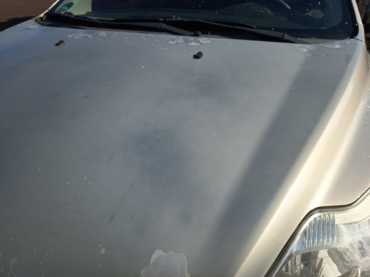 Ford Focus II original Motorhaube Klappe Deckel vorn Front Chill met Bj 2009