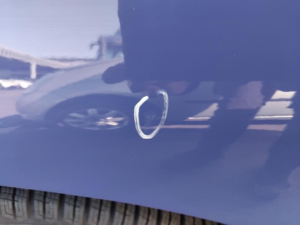 Peugeot 206 original Kotfl&uuml;gel vorn links EGJ Blau Santorin BJ2005