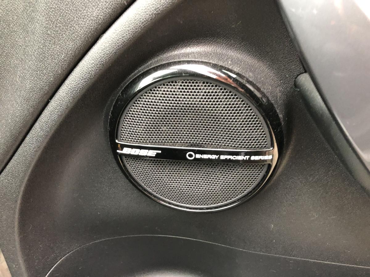 Renault Megane 3 III GT Grandtour Türverkleidung vorn rechts Türpappe Bose OEM